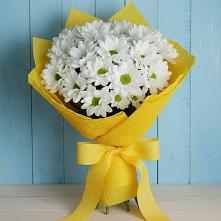 Букет цветов из:  Хризантемы в Пудость