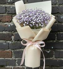 Букет цветов из:  Гипсофила в Пудость