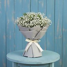Букет цветов из:  Гипсофила в Пудость