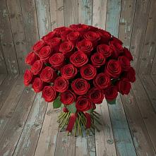 Букет 55 Красных роз Фридом #REPLACE_PRED# Пудость