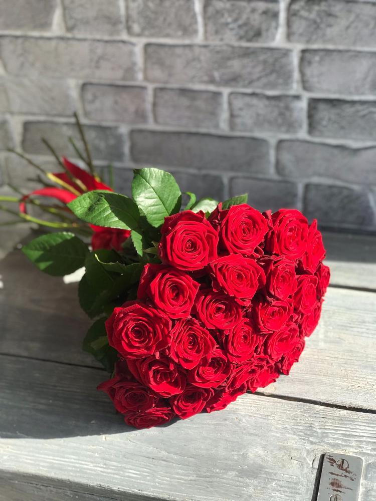 Букет Красные розы Фридом в Пудость