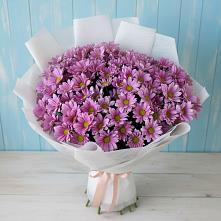 Букет цветов из:  Хризантемы в Пудость