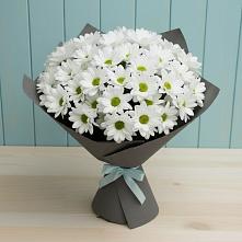 Букет цветов из:  Хризантемы в Пудость