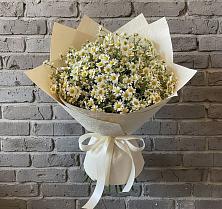 Букет цветов из:  Ромашки в Пудость