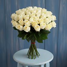 Букет 51 Белая роза Эдлесс Лав #REPLACE_PRED# Пудость