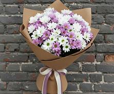 Букет цветов из:  Хризантемы в Пудость