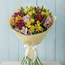 Букет цветов из:  Альстромерии в Пудость