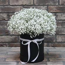 Цветочная композиция из Гипсофила в шляпной коробке #REPLACE_PRED# Пудость