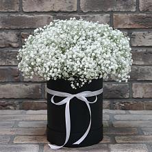 Цветочная композиция из Гипсофила в шляпной коробке в Пудость