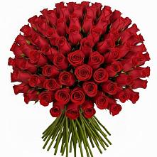 Букет Красные розы Чери Лав в Пудость