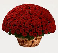 Премиум букет из: Розы в Пудость