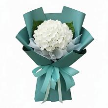 Букет цветов из:  Гортензия в Пудость